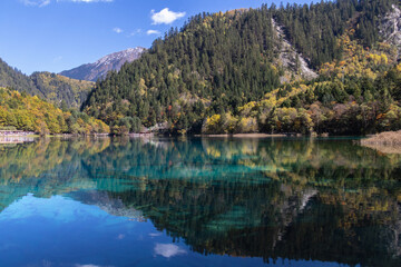 Turquoise mountain lake reflection, forested hillside, clear sky, autumn foliage, tranquil scenery, serene water at Five-Flower Lake, Jiuzhaigou in Sichuan, China