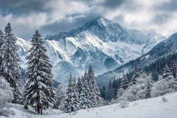 Fototapeta premium Serene Winter Mountain Scene Snow-Covered Forest View