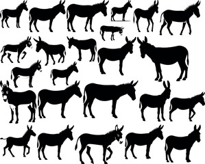 Collection of donkey silhouettes standing walking and running in various poses