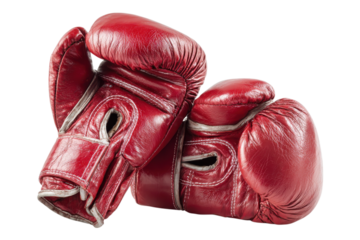 Pair of Boxing Gloves for Sports and Training on Transparent or White Background PNG