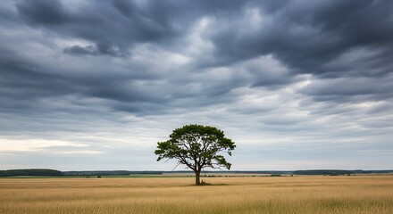 Obraz premium Solitary Tree Under Dramatic Sky
