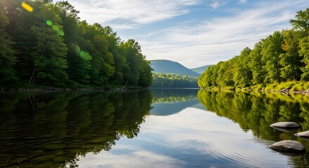 Serene River Scene: The tranquil surface of a river reflects the surrounding lush green trees and the clear blue sky, creating a sense of peace and natural beauty.
