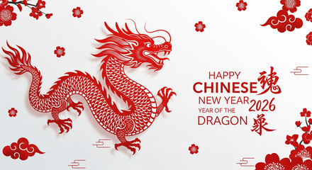 Chinese new year dragon illustration