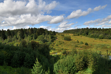 Chernevsky Forest in Krasnogorsk district of Moscow region, Russia