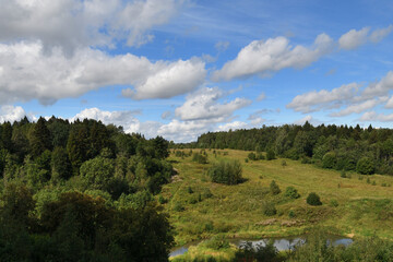 Chernevsky Forest in Krasnogorsk district of Moscow region, Russia