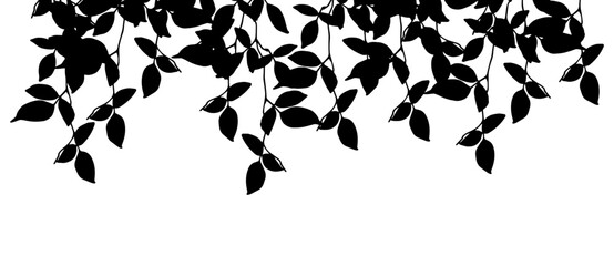 Black tree crowns silhouettes on white background