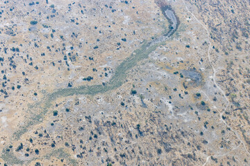aerial shot of Botswana's bushland