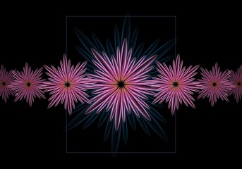 fireworks on black background