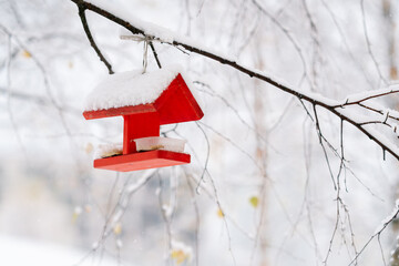 Naklejka premium Red bird feeder hangs from a branch in a winter park. It's a snowy winter day. Helping the birds