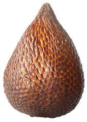 Single Isolated Indonesian Salak Fruit, Snake Fruit, in Transparent Background