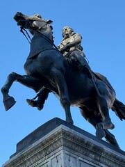 Obraz premium statue of king louis