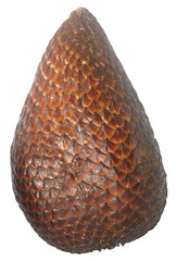 Whole Salak Fruit, Snake Fruit, Vector Graphic in Transparent Background