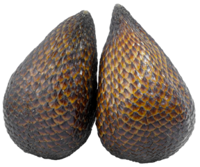Two Touching Salak, Snake Fruit, with Scaly Skin in Transparent Background