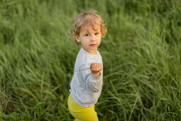 Toddler standing in tall grass, looking at the camera while holding a plant stem. Soft natural light and a calm, candid outdoor childhood moment.