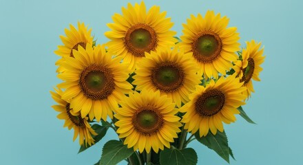 Fototapeta premium Vibrant sunflowers bouquet against a teal backdrop studio composition