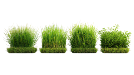 Four sets of field grazing grass side by side on transparent background