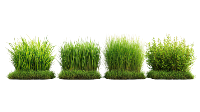 Four sets of field grazing grass side by side on transparent background