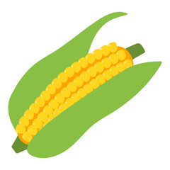 Fresh Corn with Husk Illustration