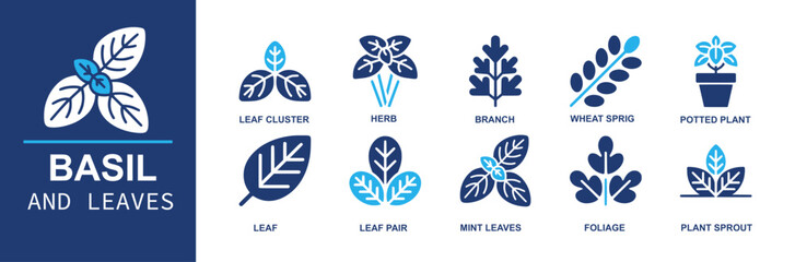 Basil and leaves icon set. Containing leaf cluster, herb, branch, wheat sprig, potted plant, leaf, leaf pair, mint leaves, foliage, plant sprout for gardening, labels and more. Solid vector icons eco © Ella