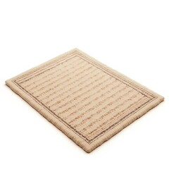 Natural Fiber Doormat or Accent Rug in Neutral Earth Tones.