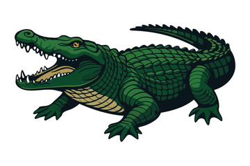 Fierce green alligator with mouth wide open showing sharp teeth and powerful jaws with textured scales and a long tail