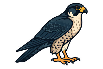 Detailed illustration of a majestic peregrine falcon perched with sharp talons and piercing eyes against a clean white background