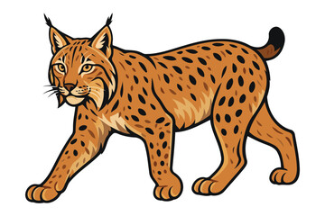 A detailed illustration of a european lynx walking with its distinctive spotted coat and ear tufts against a white background