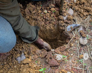 Close-up View of a Worker Digging a Pit in the Soil for a Construction Foundation