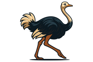 Cartoon ostrich walking with long legs and feathers isolated on white background for childrens illustrations