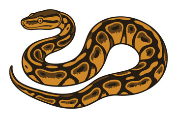 A detailed illustration of a coiled ball python snake with distinctive brown and yellow patterned scales against a white background