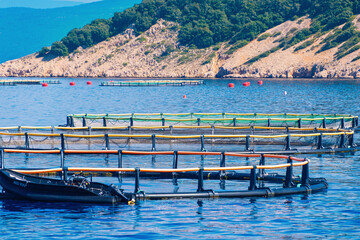 Coastal aquaculture pens in clear blue sea with scenic hillside background