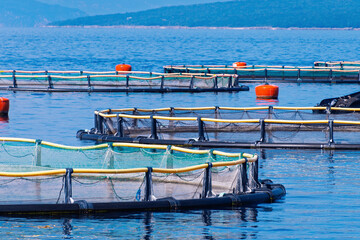 Aquaculture fish farms with circular nets on calm blue waters