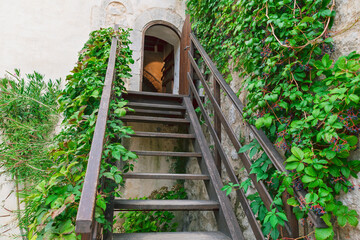 Vintage Architectural Scene with Wooden Staircase and Green Vines