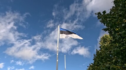 Estonian Flag Waving in the Wind Against Blue Sky