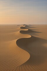 Barchan dune train at dawn