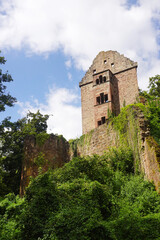 Fototapeta premium Minneburg castle in Neckargerach in Baden-Wuerttemberg, Germany 