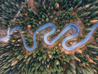 Winding asphalt snake road surrounded by autumn pine forest in Dolomites, Italy