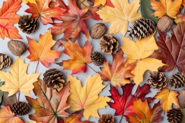 Colorful Autumn Leaves and Natural Elements on Light Background