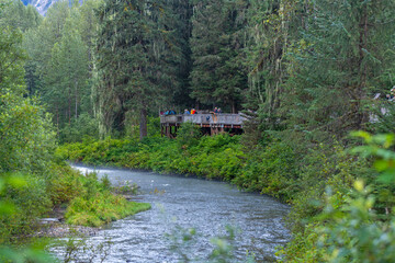 Elevated boardwalk by Fish Creek for bear observation, Tongass national forest, Hyder, Alaska, USA.