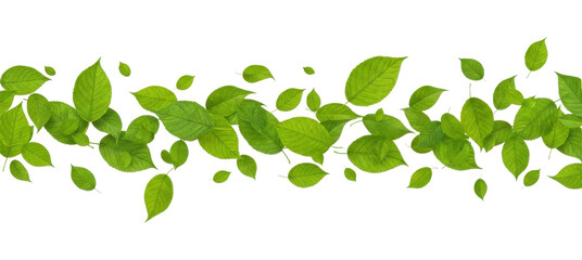 Seamless Green Leaf Border Isolated on White Background for Organic Design Element