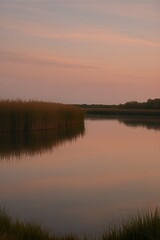 Obraz premium Reed peninsula on hushed lake