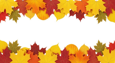 白い背景に赤と黄色の紅葉の葉が上下に配置された秋のフレームデザイン