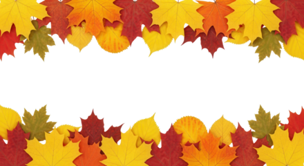 Colorful Autumn Maple Leaves Border Illustration on Isolated White Background