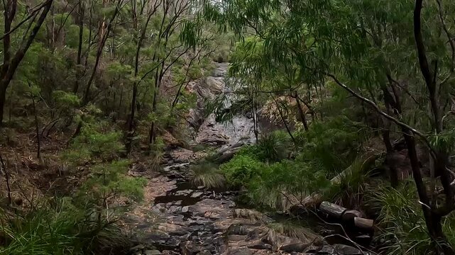Beedelup Falls, Serene Waterfall Cascading Through Lush Karri Forest Under an Overcast Sky, Western Australia