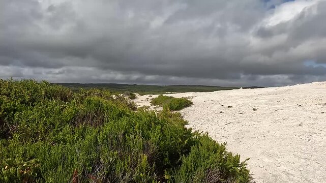 Hamelin Bay, Iconic Destination with Serene White Sand Beach and Turquoise Waters in Western Australia Coast