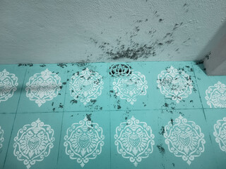 Extensive black mold infestation on a teal patterned wall with a vent