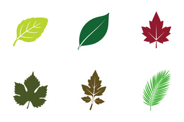 Obraz premium Collection of six different leaf illustrations in varying colors and shapes