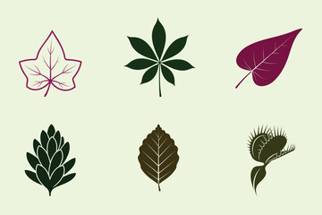 Botanical illustration six different leaf shapes and textures on a light background