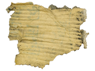 Distressed Corrugated Cardboard Fragment with Mold and Blue Faint Print