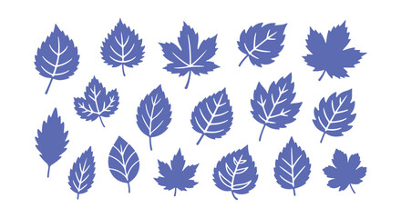 Collection of sketchy leaves. Doodle design features

